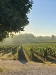 Charming house with large heated swimming pool near Saint-Emilion - Wifi