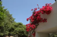 Casa Kalypso - Beach