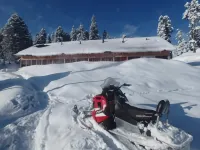 Roseland Cottage , Gulmarg