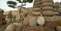 jeju thebeach pension - Pensions