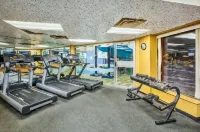 Holiday Inn SYDNEY - WATERFRONT by IHG - Gym