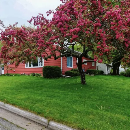 Cherry Corner Cottage-Vintage 3 Bedroom Home *instant booking*