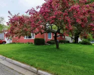 Cherry Corner Cottage-Vintage 3 Bedroom Home *instant booking* - 2-Star