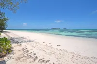 Sands of the Sea - Wi-Fi