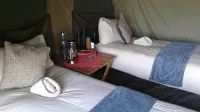 Pop Lamont Camp - Campgrounds