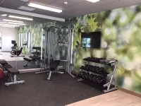 Wyndham Garden Orlando Universal / I Drive - gimnasio
