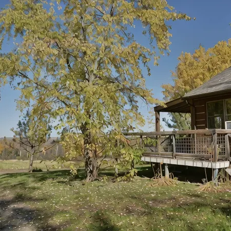 Brookside: Cozy Cabin Retreat, Fireplace + Atv/Snowmobile Access + Pets ok
