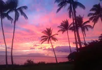 Pool View, Easy Walk to Charley Young or Kam1  Beach, Comfortable King-Bed. AC - 2-Star
