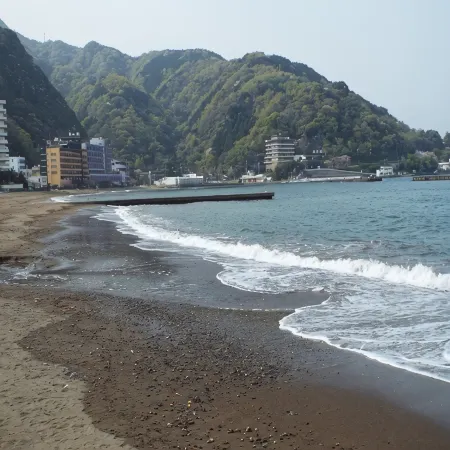 Musouan Biwa