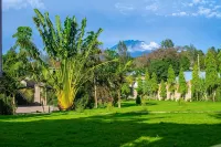 Elanacha Hotel - 3-Star