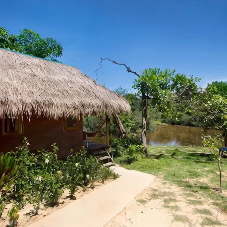 Rabbit Bungalow