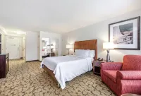 Hilton Garden Inn Oxnard/Camarillo - parkir