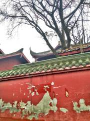 Zhizhen Temple