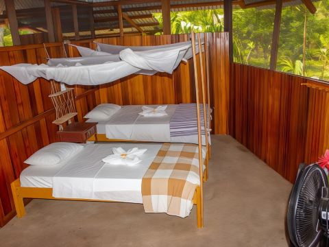 Tronco Tambopata Adventure