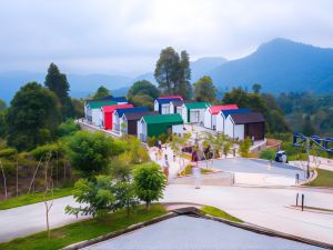 Daima Moosa Glamping Park