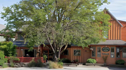 Te Wanaka Lodge Hotels in Albert Town