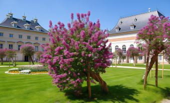 Schloss Hotel Dresden Pillnitz