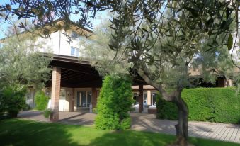 a house with a wooden porch and trees in front of it , under the shade of an olive tree at B&B Hotel Affi - Lago di Garda