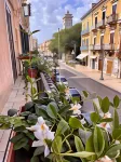 Corso Grand Suites