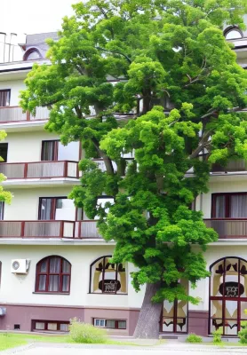 Baltiyskaya Korona Hotel
