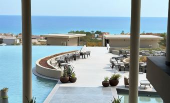 King Jason Zante – Designed for Adults