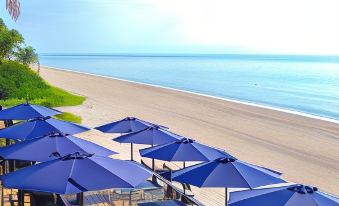 Sun Tower Hotel & Suites on the Beach