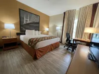 Super 8 by Wyndham Pevely