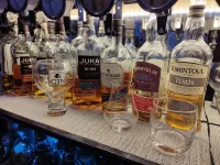 Blue Waters Lodge - bar