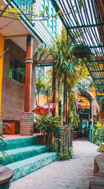 Bed In 14-Bed Mixed Dormitory Room