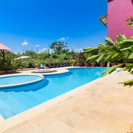 Hôtel Mercure Cayenne Royal Amazonia