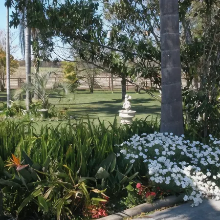 Palms Oasis Motel