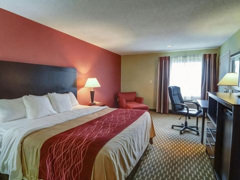 Quality Inn & Suites Pine Bluff