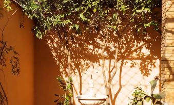 Maison d'hôtes le Petit Jardin Marrakech