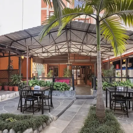 Hotel Buddha