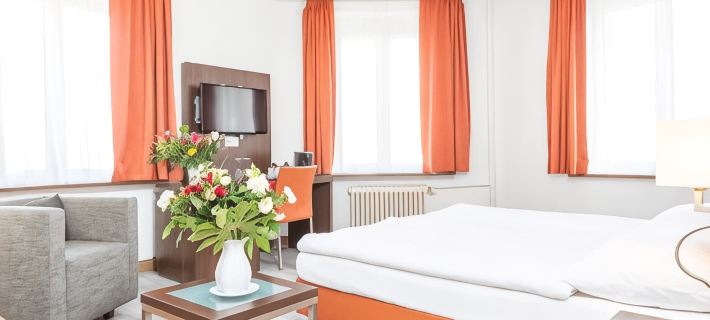 Hotel Rheinfelderhof Hotels in Basel