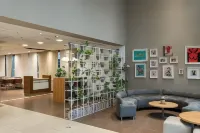 Ibis Buenos Aires Congreso