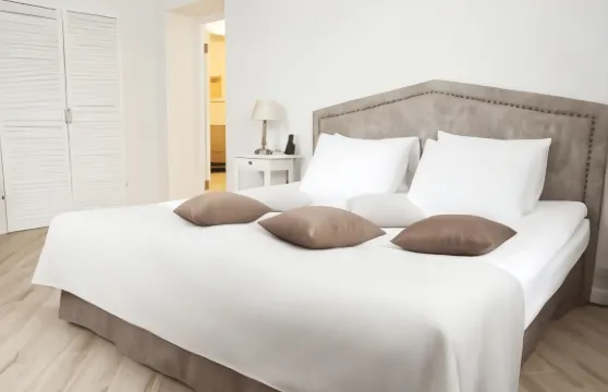 亞歷山大彼得霍夫酒店