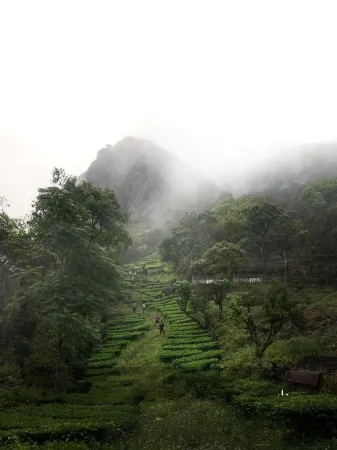 Willmount Geodesic Domes Vagamon Отели рядом с достопримечательностью «Vagamon Meadows»