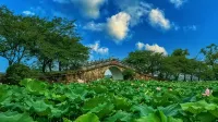 Wuxi Juna Hubin Hotel - Romantic