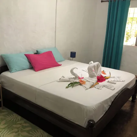 HCS Bungalows, Turtle Bay Rustic Bungalow with garden, Flat #1