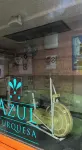 Azul Turquesa - Gym