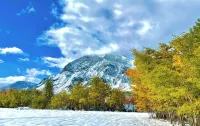 Spectacular Mountain Cabin in the heart of East Rosebud Mountains