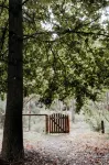 Kookaburra Cottage at Fern Gulley - 3-Star