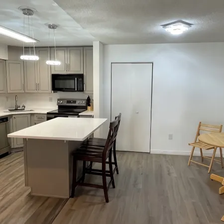 Newly remodeled condo for travel professionals and interns