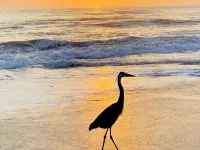 Stylish, and Relaxing in a Charming Neighbourhood with a Secluded Local Beach. インディアランティックのホテル