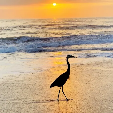 Stylish, and Relaxing in a Charming Neighbourhood with a Secluded Local Beach.