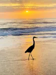 Stylish, and Relaxing in a Charming Neighbourhood with a Secluded Local Beach.