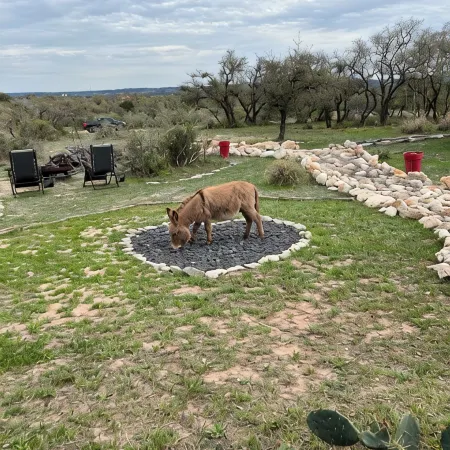 Beautiful Hill Country Charm. 88 acres with mini farm animals.