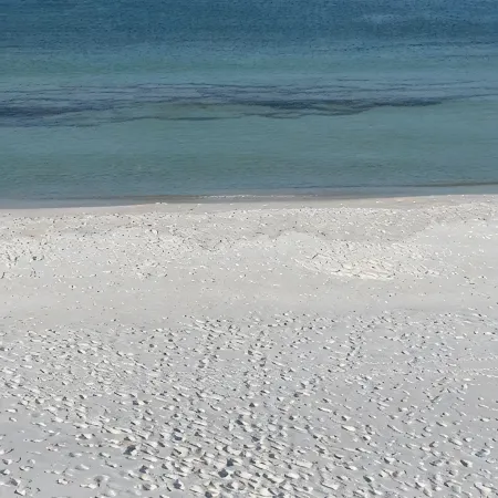 Gorgeous Gulf Front Condo on 30A! Back Porch Opens to Private Beach