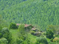 Casa Grande – Historic and Cozy Apartment with Valley View - 民宿